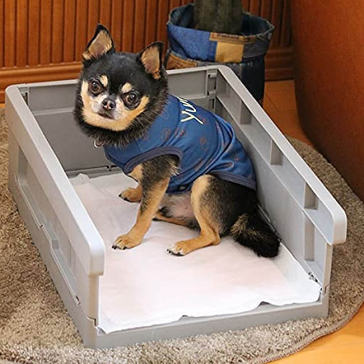 IDOG&ICAT 愛犬のためのインテリアトイレ