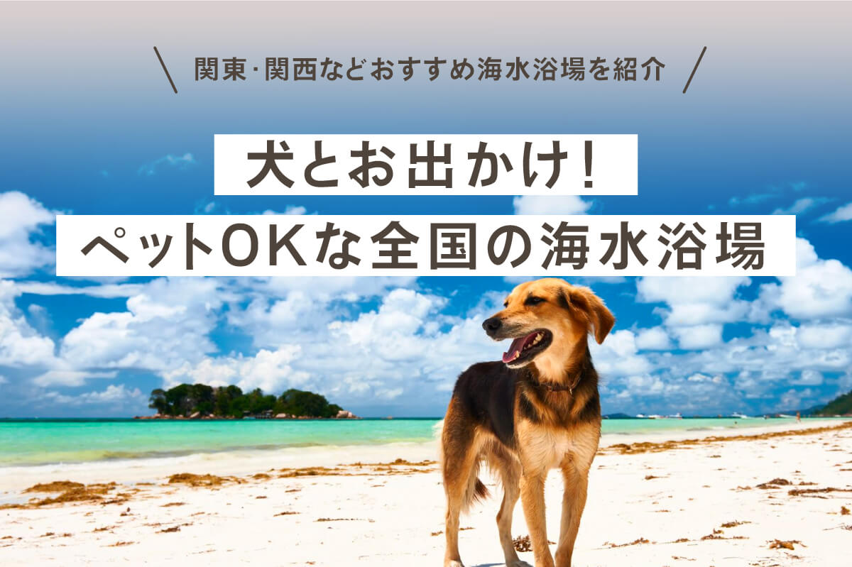 犬とお出かけ！ペットOKな全国の海水浴場！関東・関西などおすすめ海水浴場を紹介