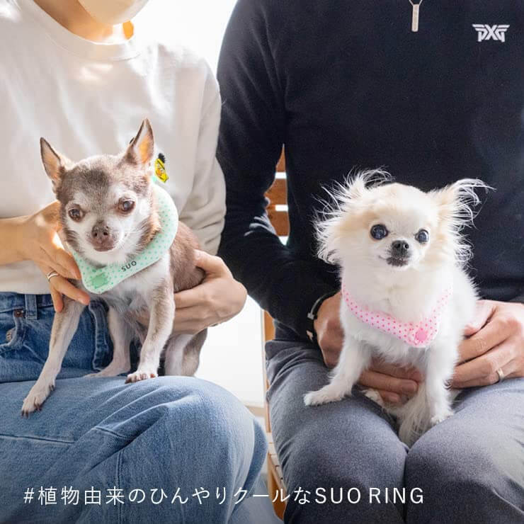 SUO for dogs 28℃ ICE COOL RING