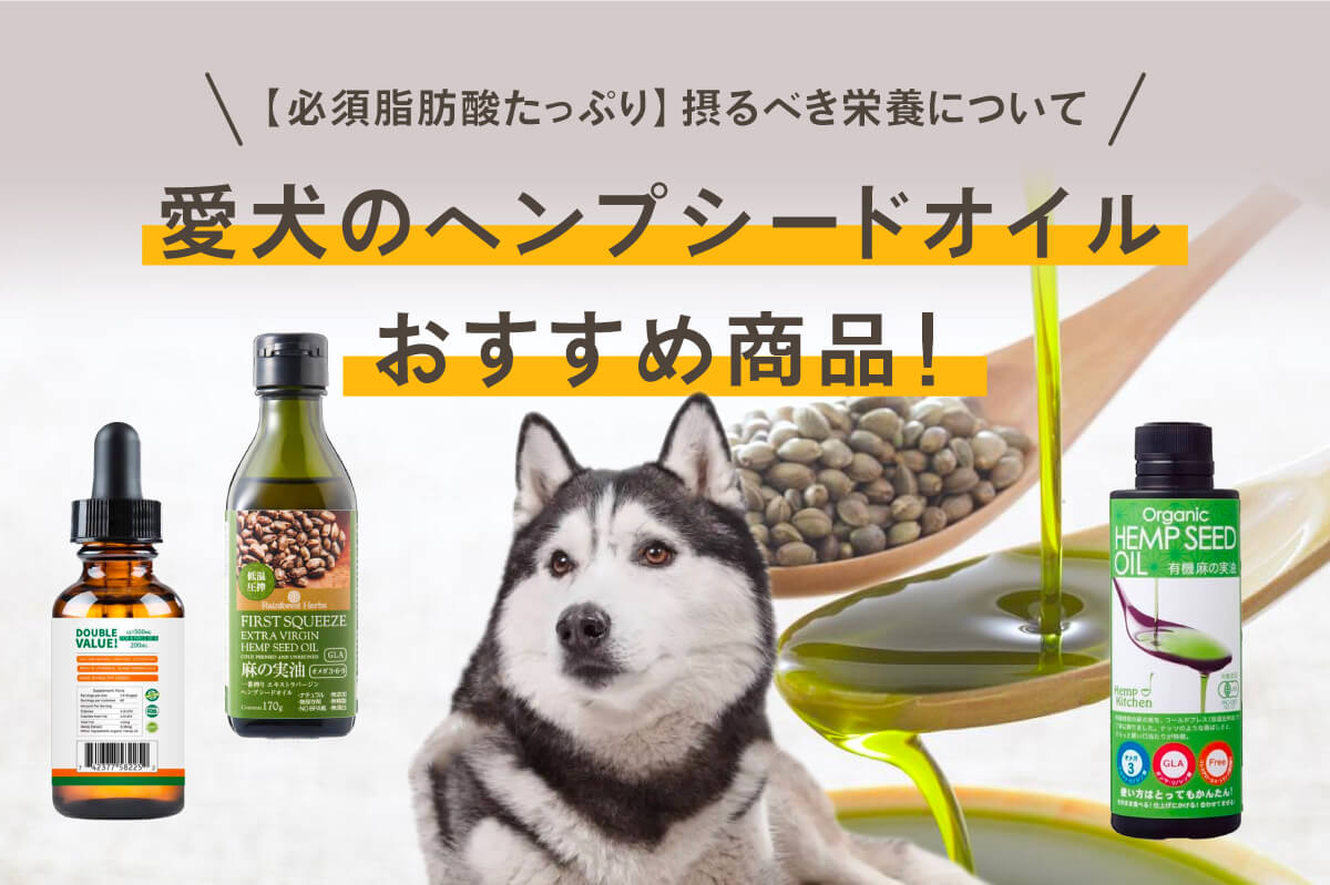 【必須脂肪酸たっぷり】愛犬のヘンプシードオイルおすすめ商品！摂るべき栄養について