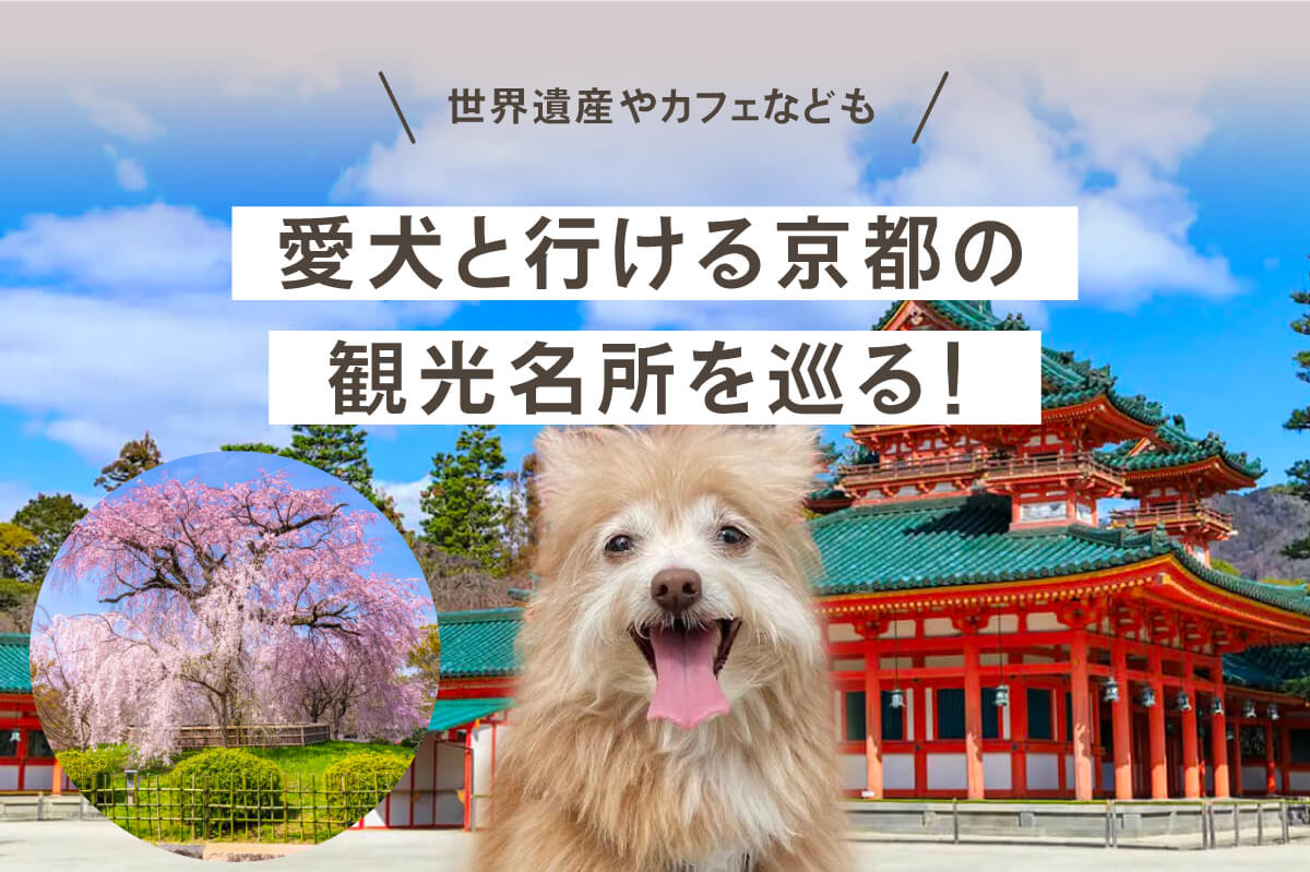 【京都エリア】愛犬と行ける京都の観光名所を巡る！世界遺産やカフェなども