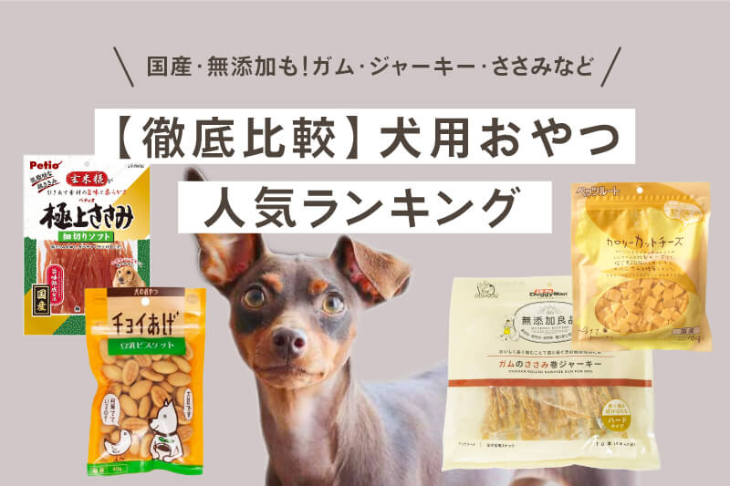 お決まりの犬用ウェットフードおすすめ人気ランキング！コスパや素材、愛犬の年齢や体質から選ぼう！ | フードック