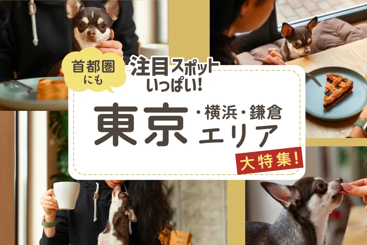 首都圏にも注目スポットいっぱい！愛犬と行ける東京・横浜・鎌倉エリア大特集！