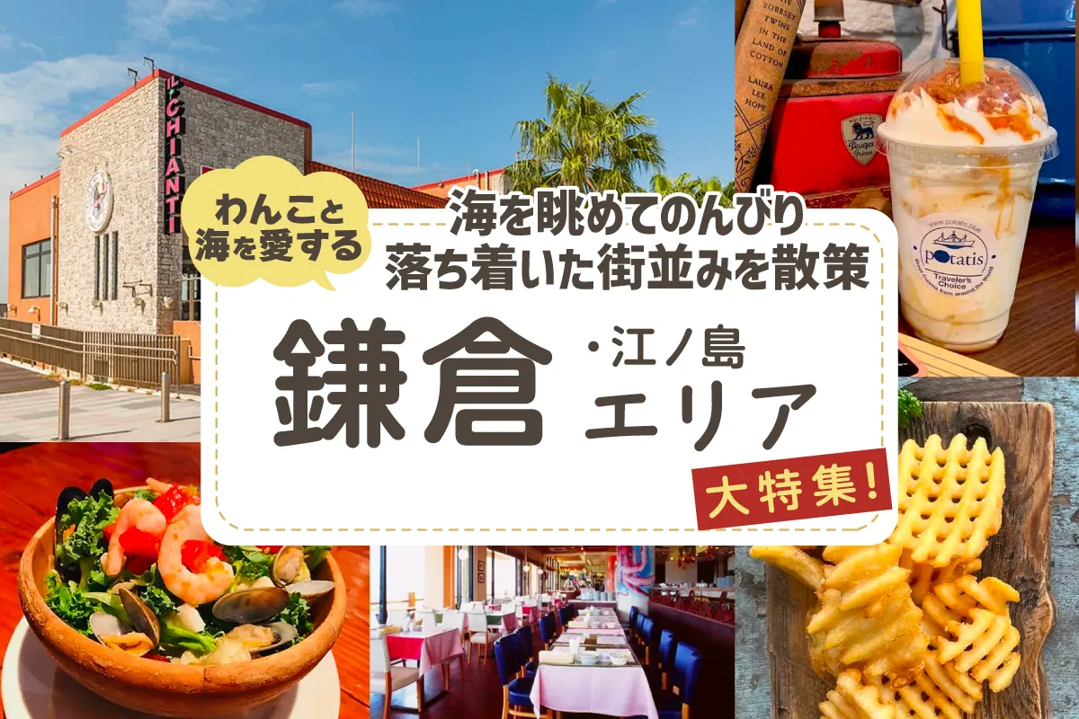【鎌倉・江ノ島エリア】犬連れにおすすめ！犬同伴OKなレストランやドッグラン、ショッピングなど盛りだくさん！
