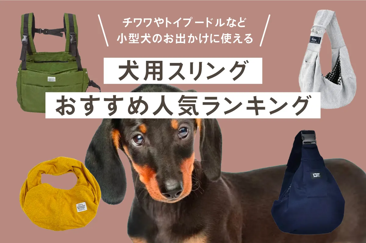 【犬用スリング】おすすめ人気ランキング｜チワワやトイプードルなど小型犬のお出かけに使える
