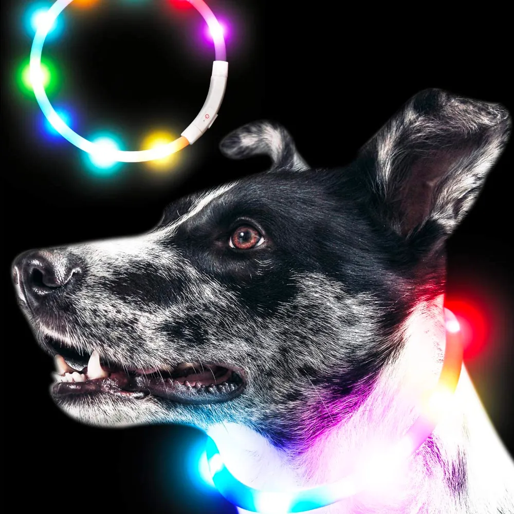 Qbit LED 犬光る首輪