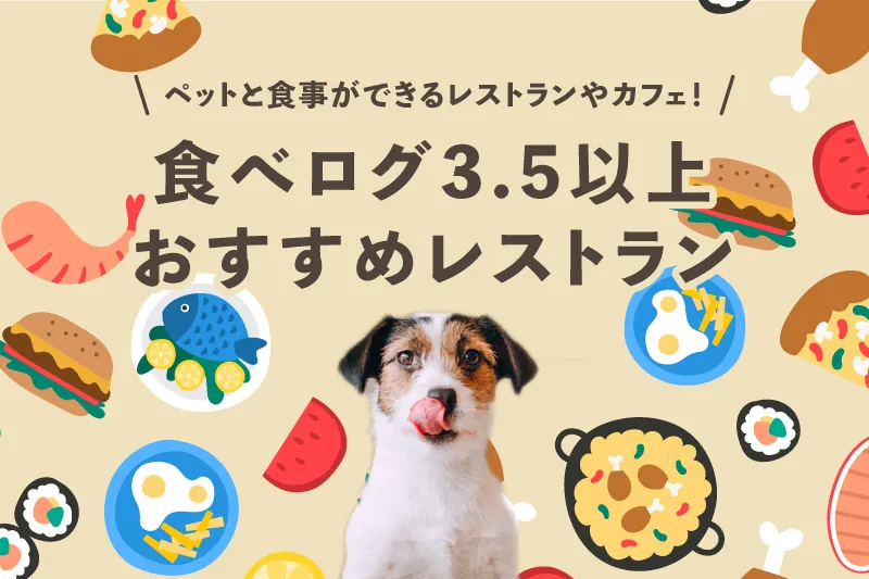 食べログ3.5以上の東京都内ペットと食事ができるレストランやカフェ！