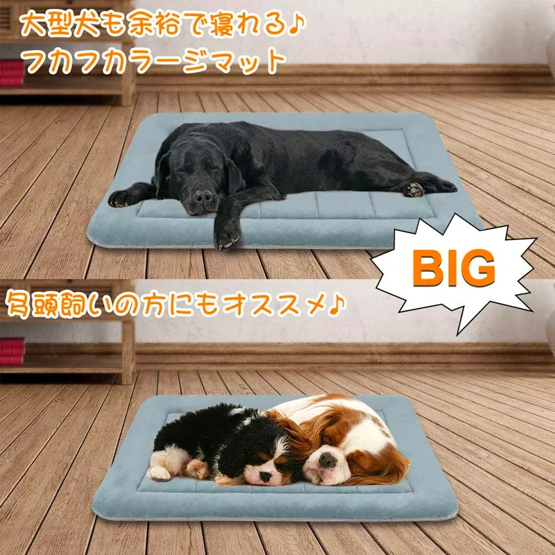 小型犬にはSサイズ・大型犬にはLサイズ以上をチョイス