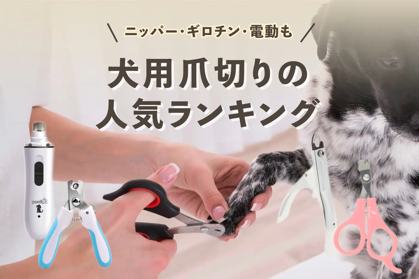 犬用爪切りのおすすめ人気ランキング【ニッパー・ギロチン・電動も】