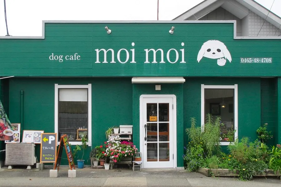 【食べる】dogcafe moimoi
