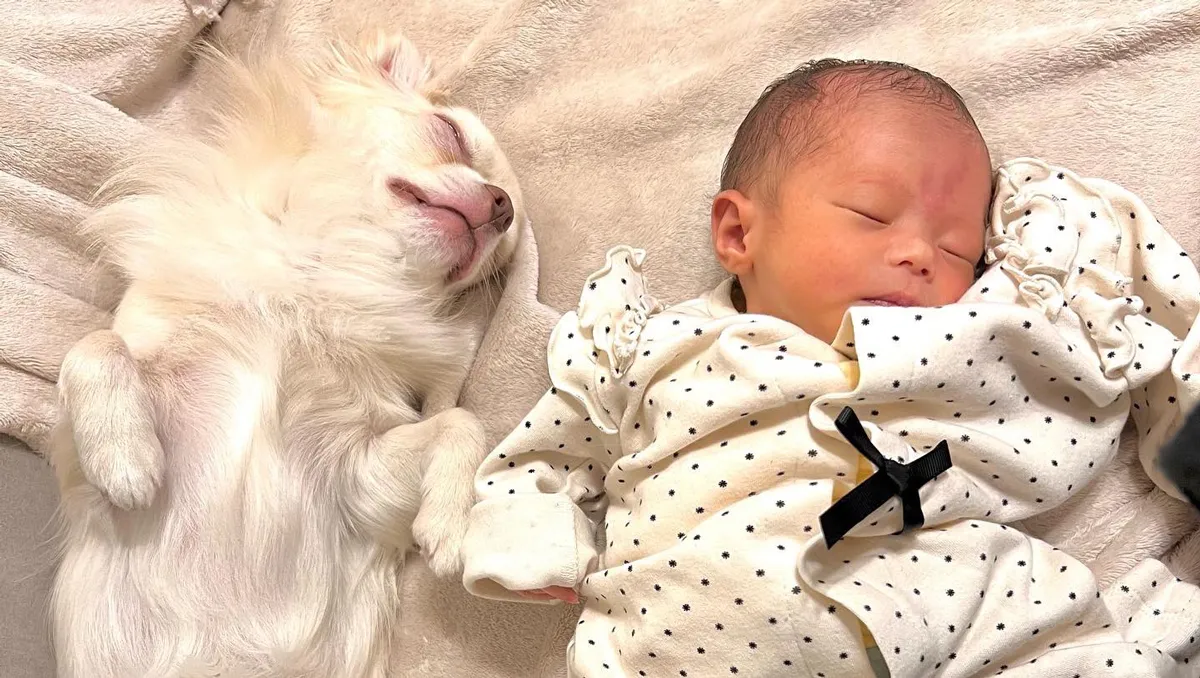 犬と赤ちゃんが一緒に寝ても大丈夫？