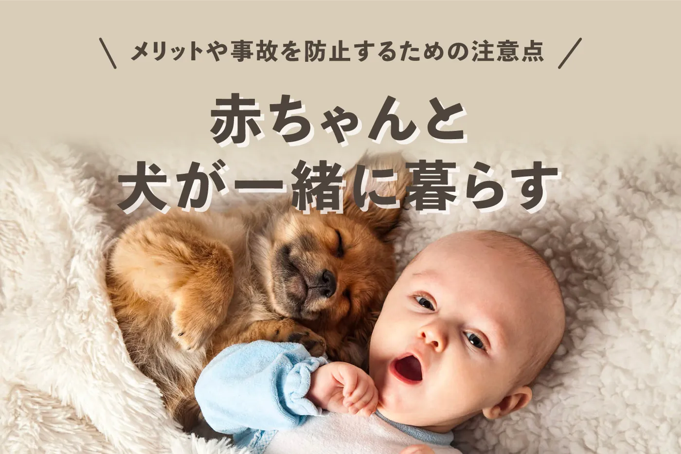 【赤ちゃんと犬が一緒に暮らす】気をつけることは？メリットやトラブルや事故を防止するための注意点、安全を守るための対策を紹介
