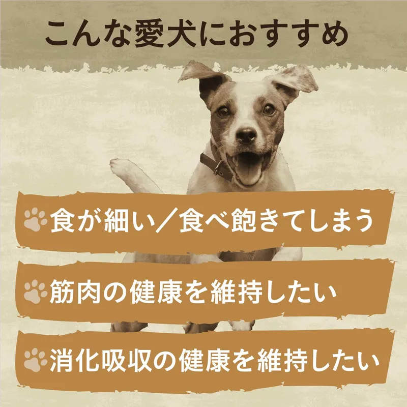 ニュートロ ワイルド レシピ 子犬用 ターキー