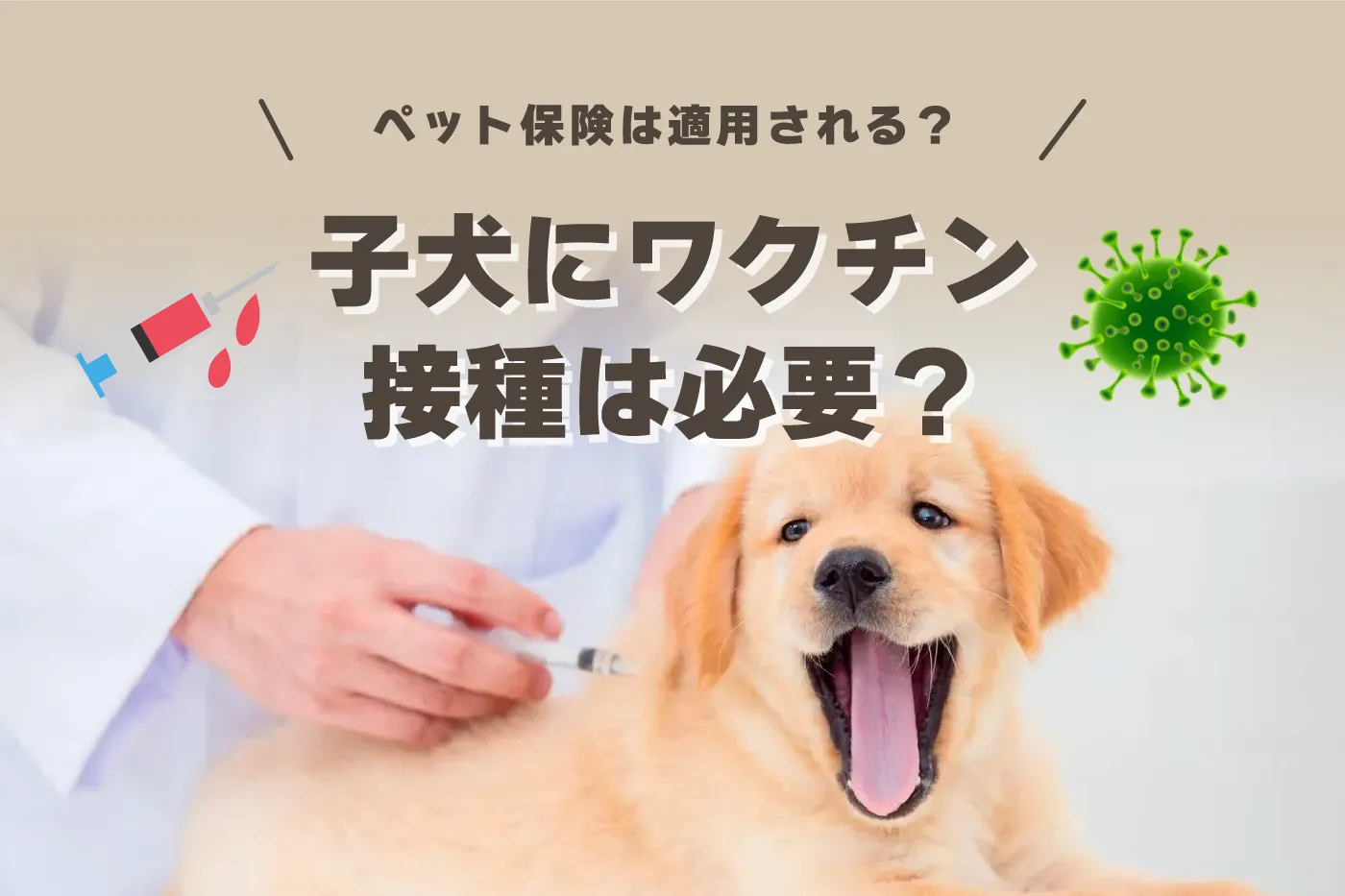 子犬にワクチン接種は必要？ペット保険は適用される？接種後の副作用は？