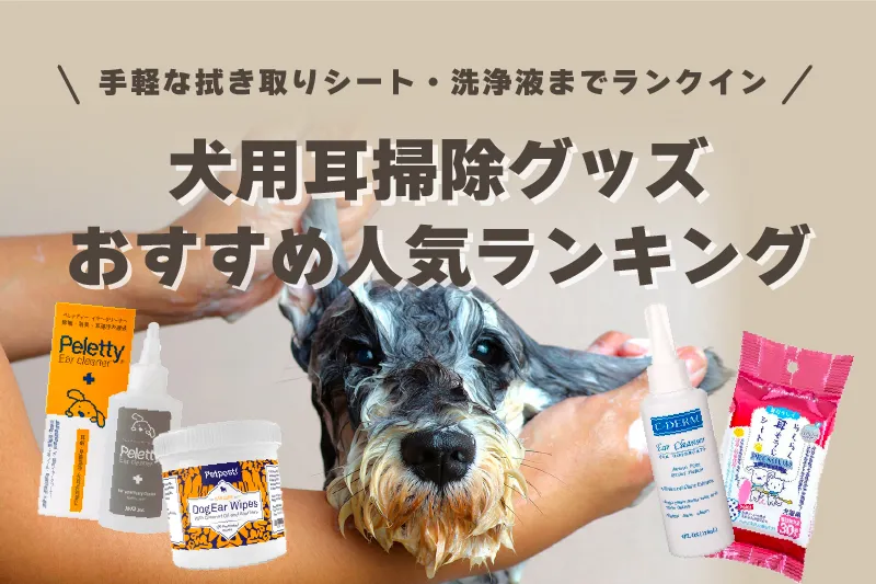 犬用耳掃除グッズのおすすめ人気ランキング！洗浄液が人気！お手入れの仕方や頻度も解説