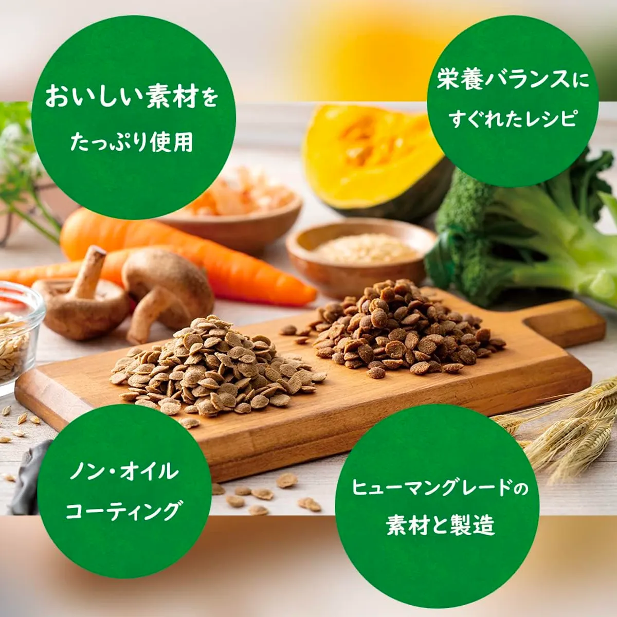 YumYumYum！（ヤムヤムヤム）やわらかドライタイプ