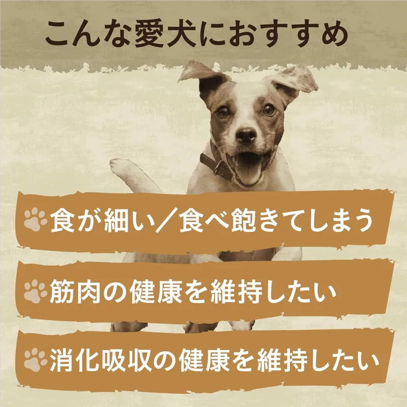 ワイルドレシピ 超小型犬～小型犬用 [成犬用] サーモン