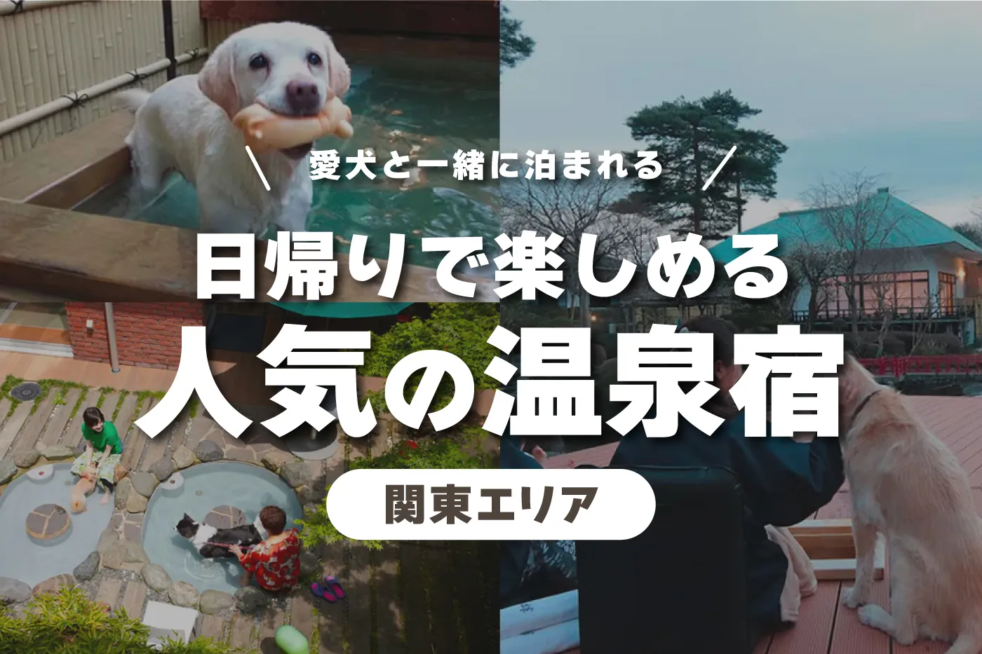 【2024年】東京から1〜2時間で行ける愛犬と泊まれる温泉宿♨人気TOP13！愛犬もお風呂に入れるところも！
