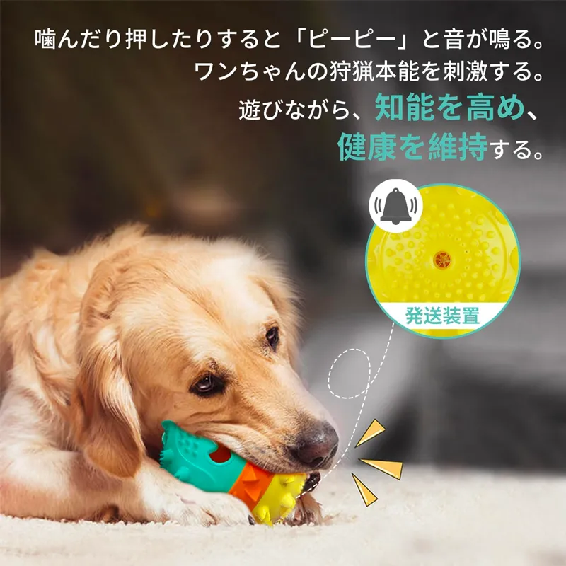 YOUMI 犬おもちゃ ノーズワーク玩具ボール