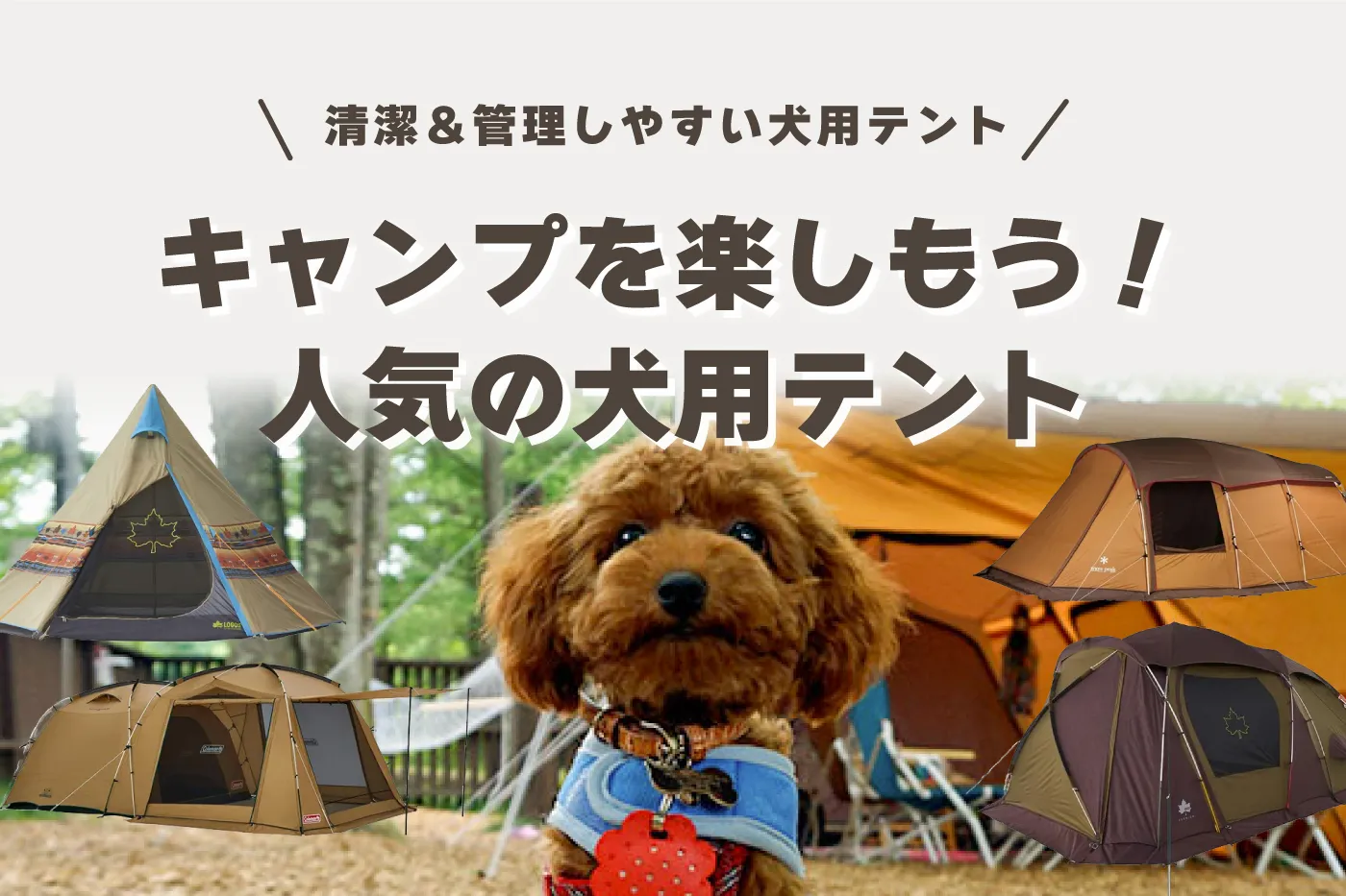 犬と一緒にキャンプを楽しもう！清潔＆管理しやすい犬用テントのおすすめ8選 メリットや選び方は？ 