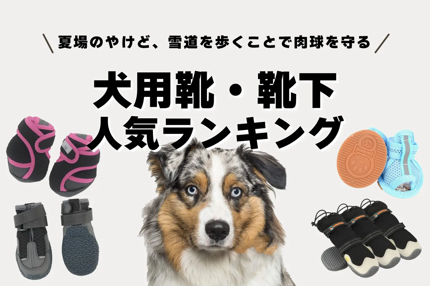 2024年】犬用靴・靴下のおすすめ人気ランキング！暑さ・寒さから足を守れるドッグシューズ！