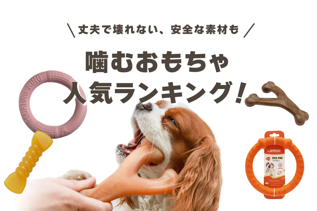 犬用の噛むおもちゃおすすめ｜丈夫で壊れない！安全な素材も！