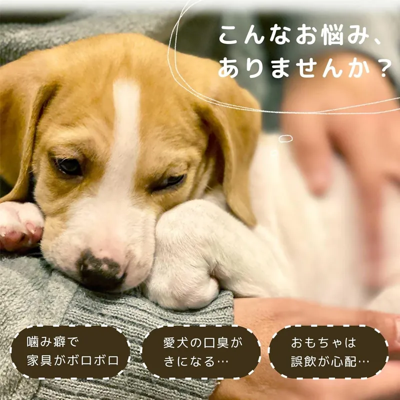 Laki ラキ コーヒーウッド 犬 噛む おもちゃ 無添加