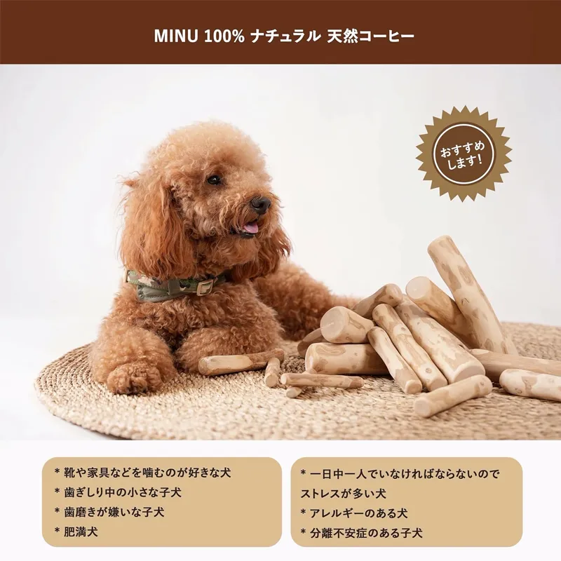 MINU 犬用噛むおもちゃコーヒーの木