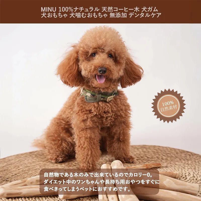 MINU 犬用噛むおもちゃコーヒーの木