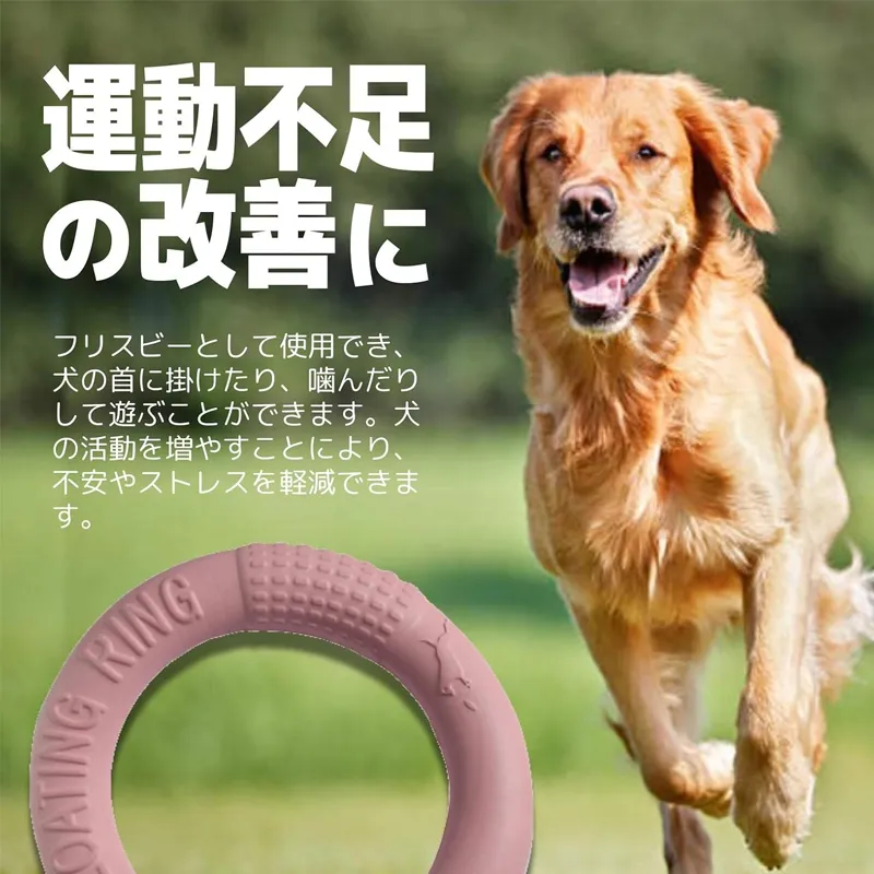 fogman 犬用おもちゃ 水に浮くリング