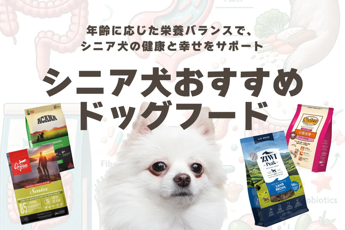 シニア犬用ドッグフードのおすすめランキング！切り替え時期と選び方のポイント