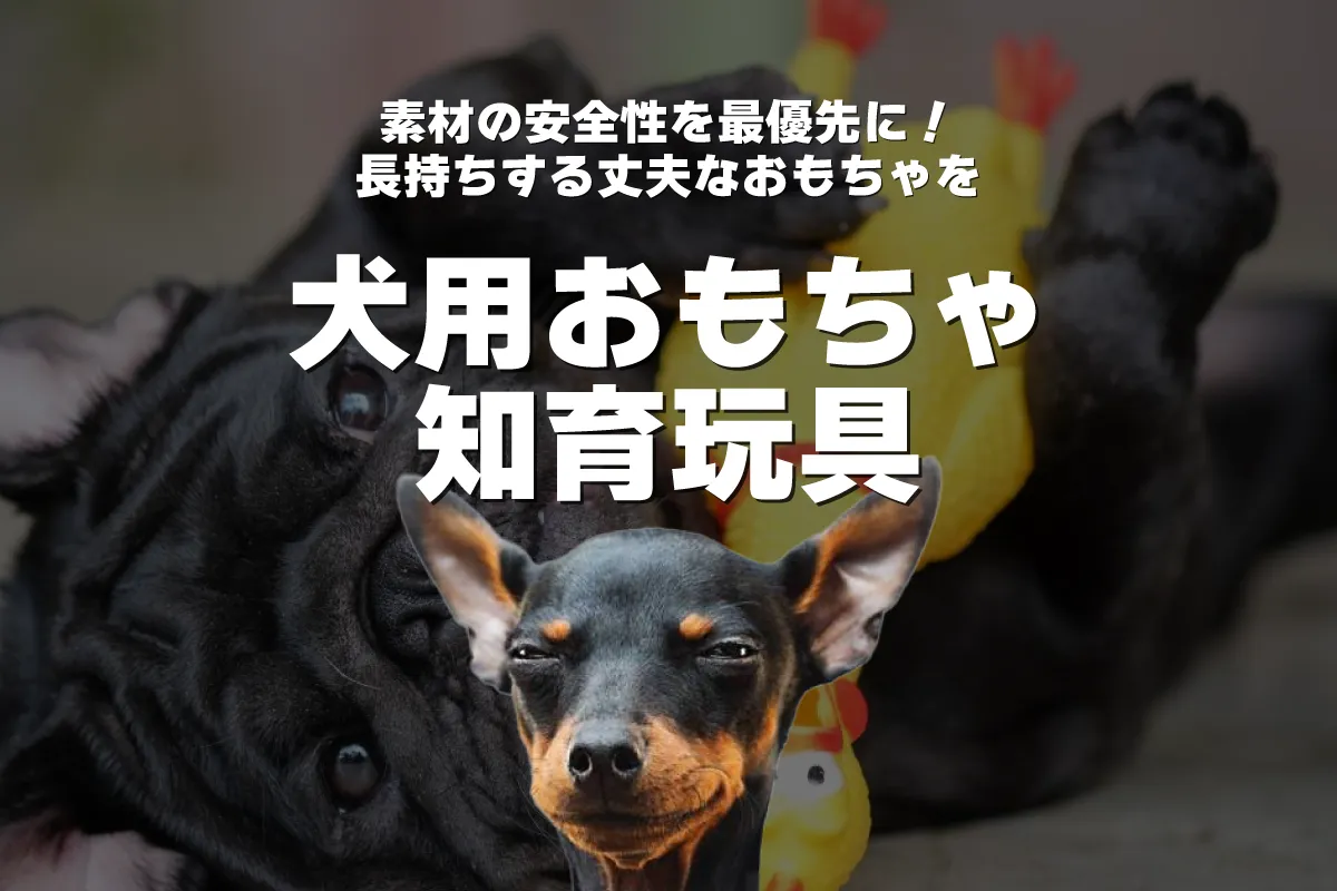 【2024年最新版】犬用おもちゃ＆知育玩具おすすめランキング｜退屈しない遊び方も紹介
