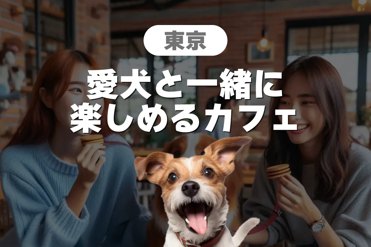 東京で愛犬と一緒に楽しめるカフェ10選｜ペット同伴OKな穴場スポット