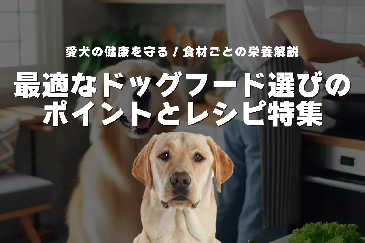 愛犬の健康を守る！食材ごとの栄養解説と最適なドッグフード選びのポイント｜特長を活かしたレシピ特集