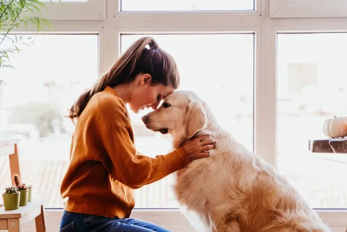 笑顔で過ごすために飼い主ができること