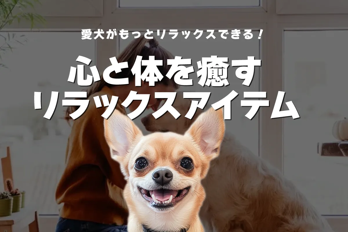 愛犬がもっとリラックスできる！心と体を癒すストレスケアとリラックスアイテム