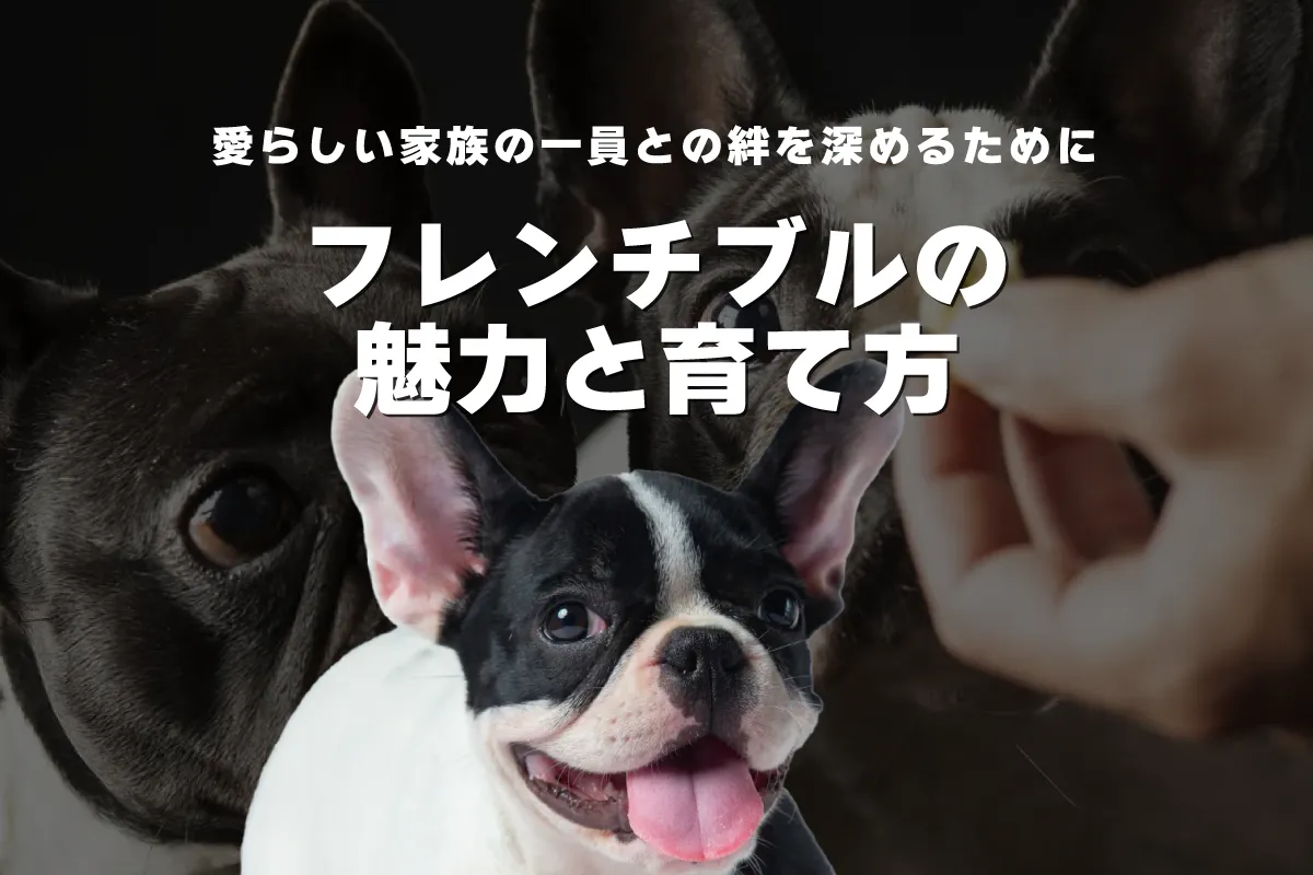 フレンチブルドッグ完全ガイド：愛犬との幸せな生活をサポートするすべて