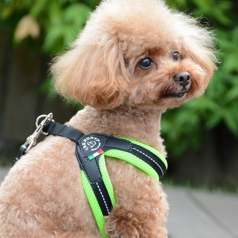 素材選びで決まる！愛犬の快適さと耐久性