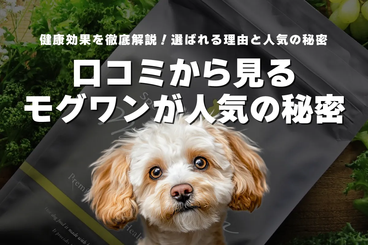 モグワン徹底解説！口コミ・評判から見る人気の秘密とその効果とは？