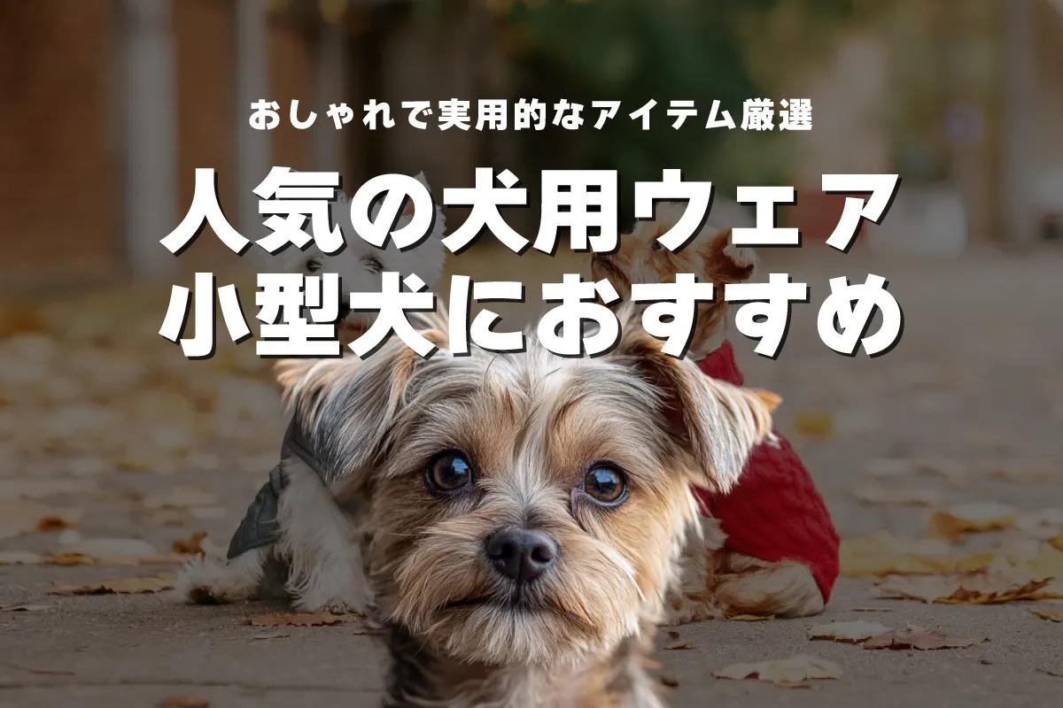 小型犬にぴったり！人気洋服ブランドランキング2024｜おしゃれで実用的なアイテム厳選6選