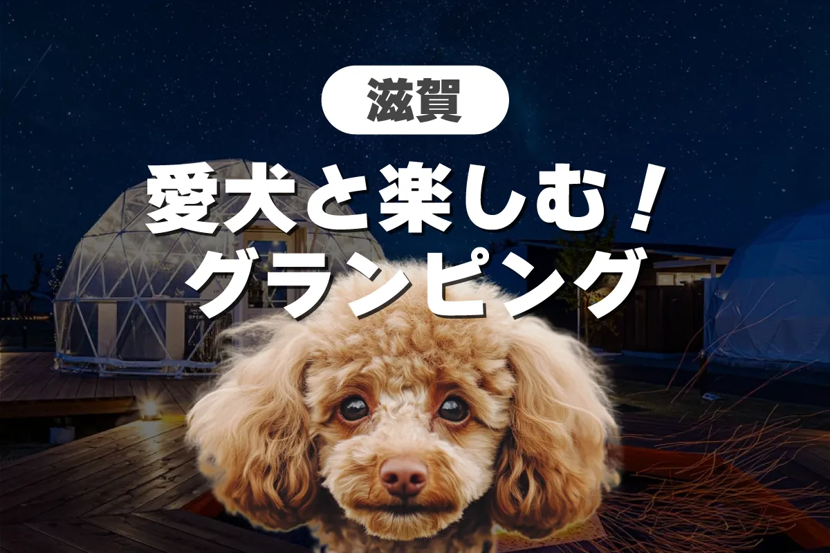 滋賀県で愛犬と楽しむ！おすすめドッグフレンドリーグランピング施設7選