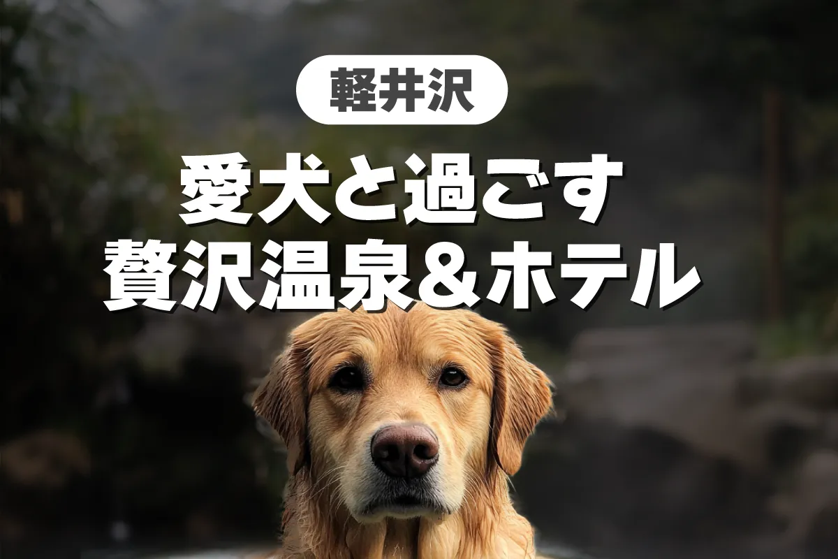 軽井沢で愛犬と楽しむ！おすすめ温泉＆泊まれるホテル施設8選【愛犬との特別な時間を満喫】