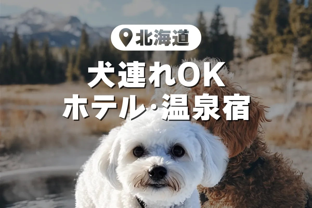 【保存版】愛犬家必見！北海道の犬連れOK温泉宿TOP8で叶える特別な旅