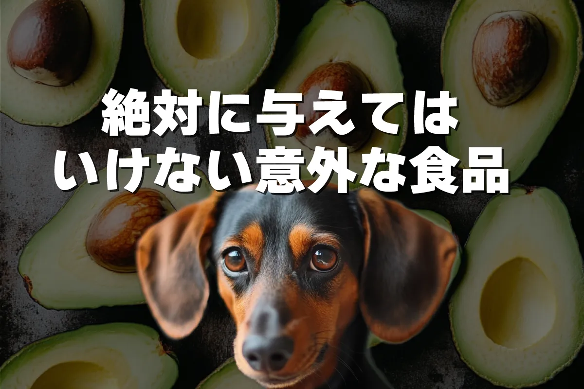 えっ、これも危険？愛犬に与えてはいけない意外な食品5選