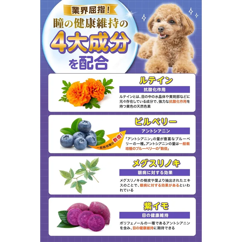 PETLINKMORE 【獣医師監修】ルテイン ＆ブルーベリーPREMIUM 犬 目のサプリ