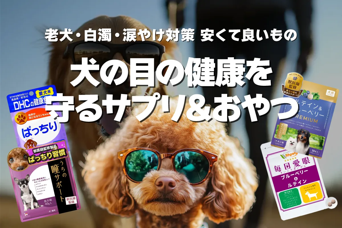 【老犬・白濁・涙やけ対策】犬の目の健康を守るサプリ＆おやつ7選！安くて良いものも紹介