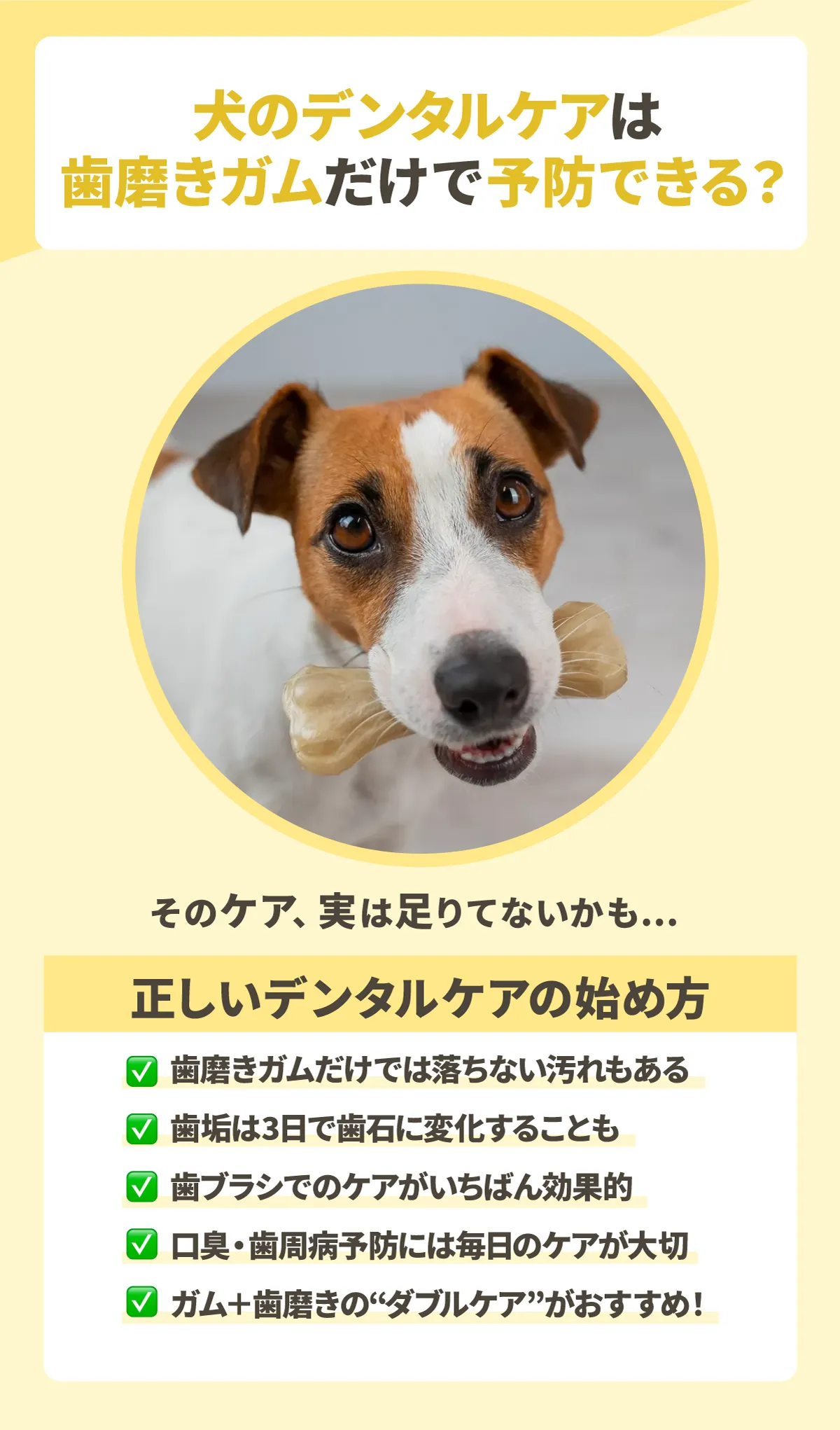 犬のデンタルケアは歯磨きガムだけで予防できる？