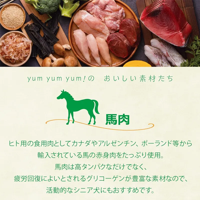 yum yum yum! 馬肉 ドライタイプ