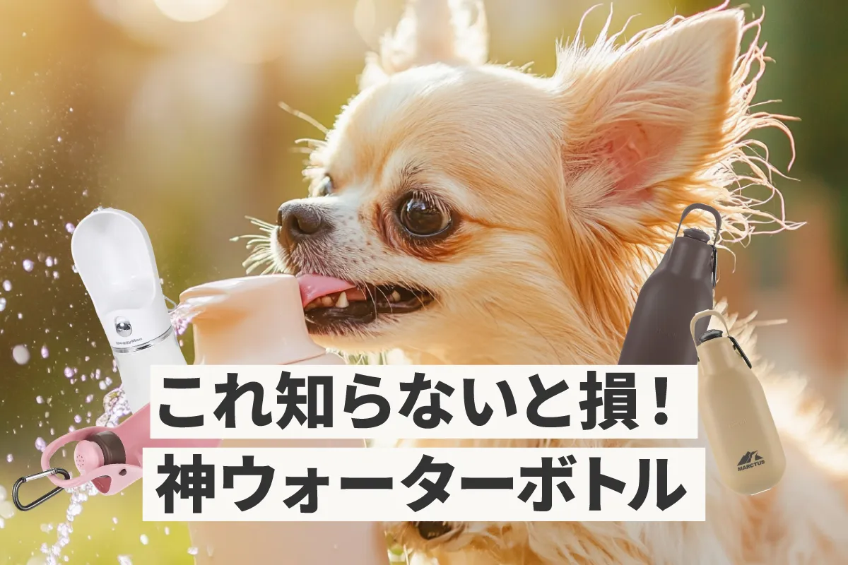 犬用水入れ・ウォーターボトルの売れ筋ランキング