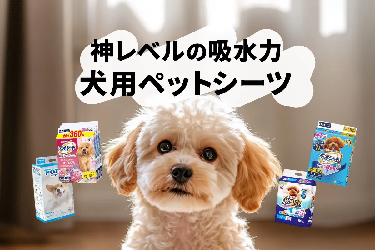 【徹底比較】犬用ペットシーツのおすすめ人気ランキング16選！吸水力や消臭力が高いものを選ぼう